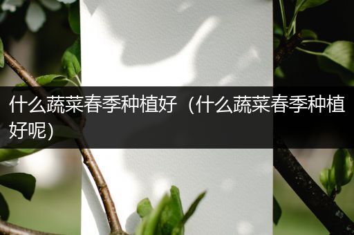 什么蔬菜春季种植好（什么蔬菜春季种植好呢）