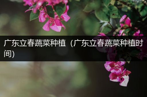 广东立春蔬菜种植（广东立春蔬菜种植时间）