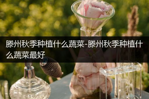 滕州秋季种植什么蔬菜-滕州秋季种植什么蔬菜最好