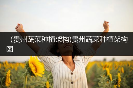 （贵州蔬菜种植架构)贵州蔬菜种植架构图