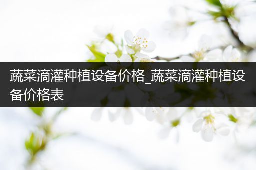 蔬菜滴灌种植设备价格_蔬菜滴灌种植设备价格表