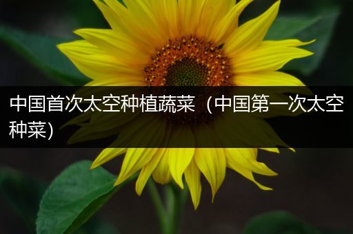 中国首次太空种植蔬菜（中国第一次太空种菜）