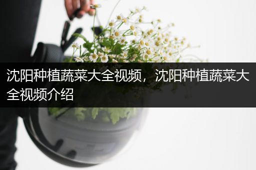 沈阳种植蔬菜大全视频，沈阳种植蔬菜大全视频介绍