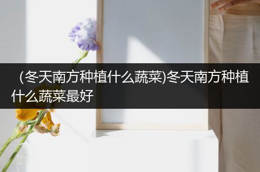 （冬天南方种植什么蔬菜)冬天南方种植什么蔬菜最好