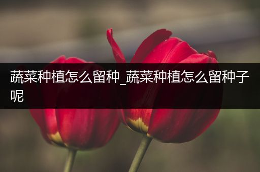 蔬菜种植怎么留种_蔬菜种植怎么留种子呢