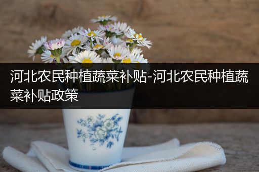 河北农民种植蔬菜补贴-河北农民种植蔬菜补贴政策