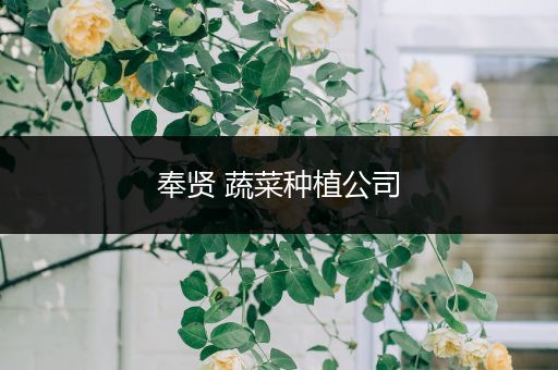 奉贤 蔬菜种植公司