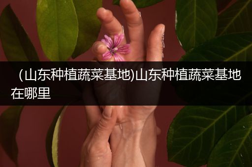 （山东种植蔬菜基地)山东种植蔬菜基地在哪里