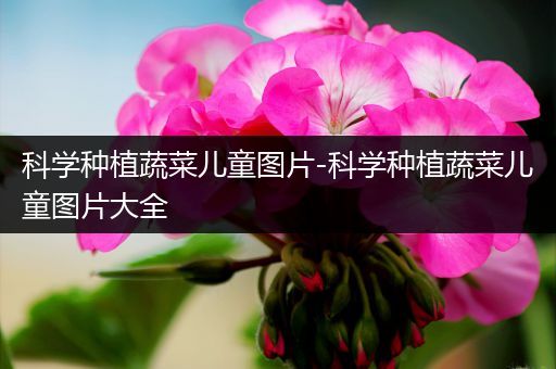 科学种植蔬菜儿童图片-科学种植蔬菜儿童图片大全